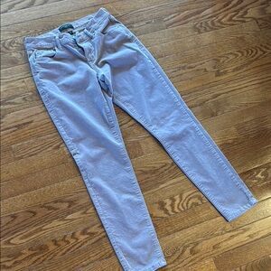 Banana Republic Light Plum Skinny Jeans